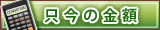 只今の金額